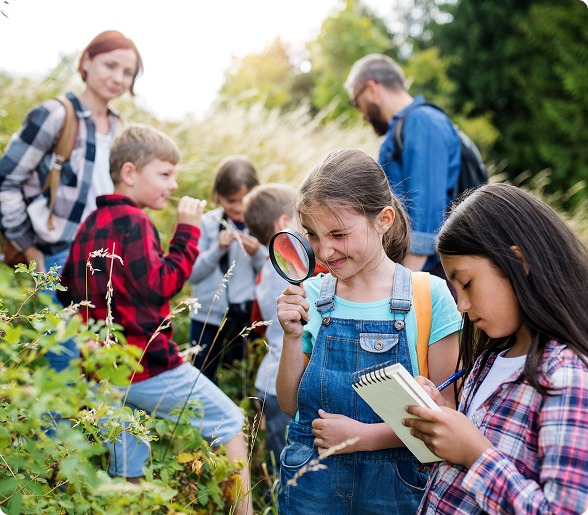 kids exploring nature